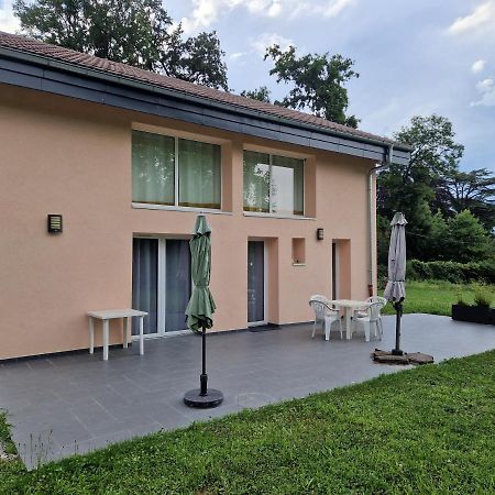 Le Petit Atelier Villa Excénevex Kültér fotó